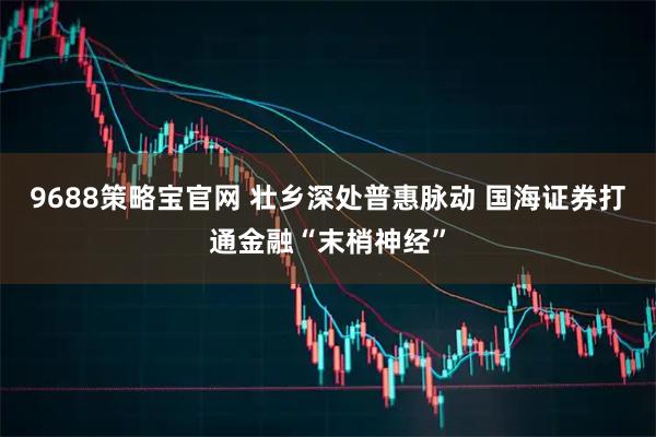 9688策略宝官网 壮乡深处普惠脉动 国海证券打通金融“末梢神经”