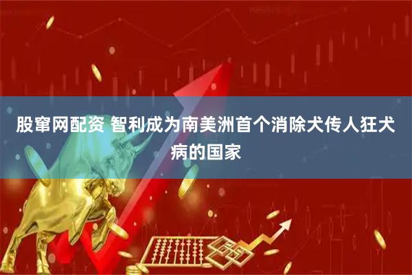 股窜网配资 智利成为南美洲首个消除犬传人狂犬病的国家